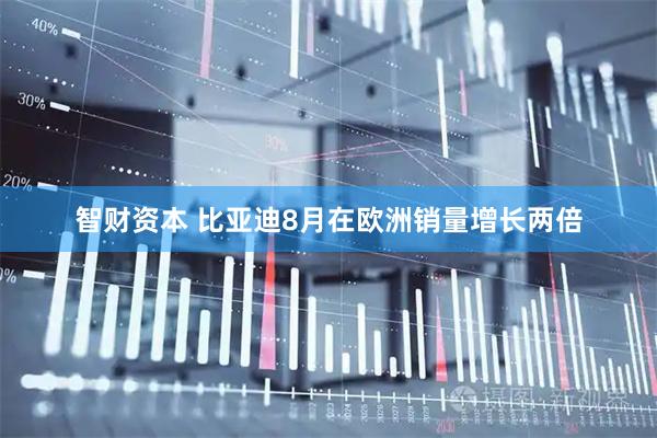智财资本 比亚迪8月在欧洲销量增长两倍