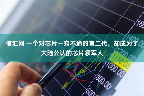 信汇网 一个对芯片一窍不通的官二代，却成为了大陆公认的芯片领军人