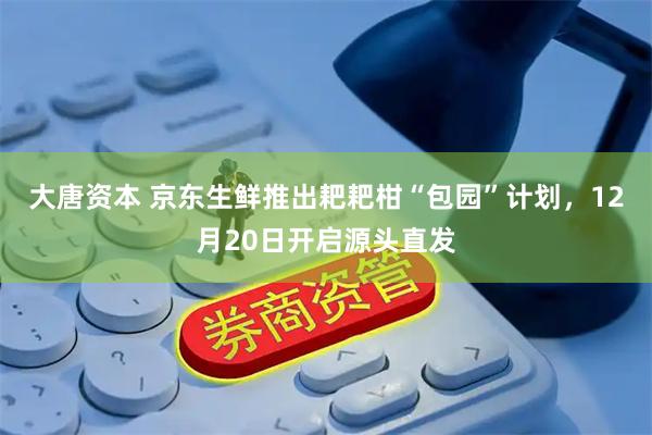 大唐资本 京东生鲜推出耙耙柑“包园”计划，12月20日开启源头直发