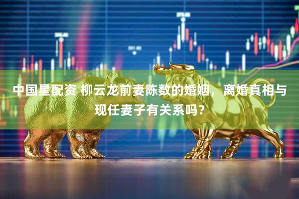 中国星配资 柳云龙前妻陈数的婚姻，离婚真相与现任妻子有关系吗？