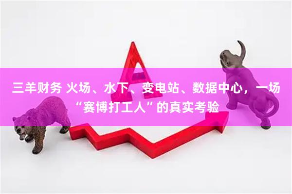 三羊财务 火场、水下、变电站、数据中心，一场“赛博打工人”的真实考验